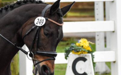 DDC Lemonade Daze I & II