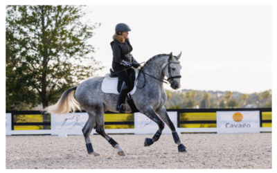 Holly Hill Equestrian Center Presents 3 day Working Equitation and Dressage Clinic – Trainer: Pati Pierucci