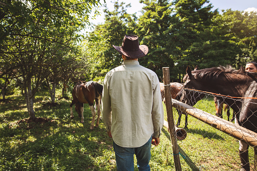 Single Category 19 Handsome horse breeder on a ranch