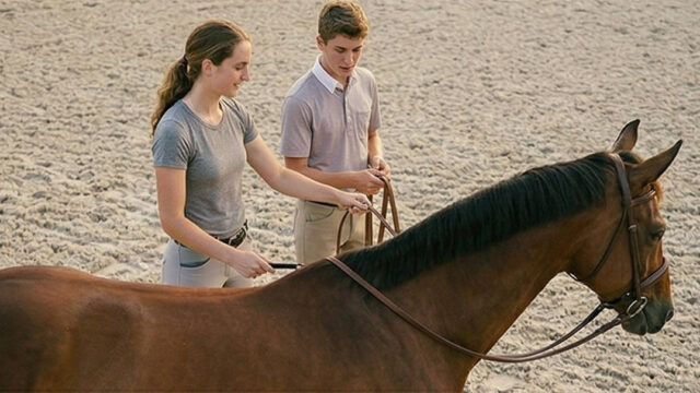 Single Location 82 Gemini_Generated_Image_68768