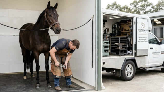 Single Location 28 Screenshot 2026-04-09 at 1.40.46 AM